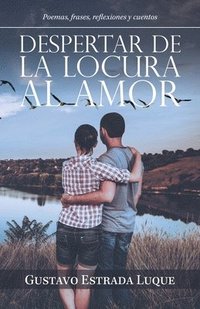 bokomslag Despertar De La Locura Al Amor