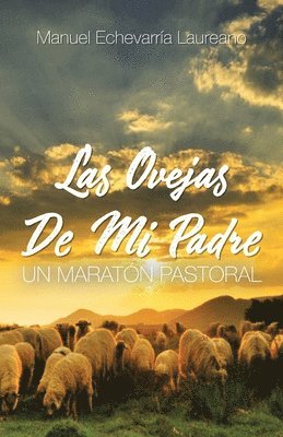 bokomslag Las Ovejas De Mi Padre