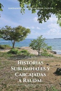 bokomslag Historias Subliminales y Carcajadas a Raudal