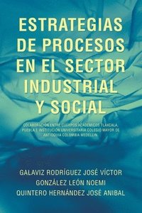 bokomslag Estrategias de Procesos En El Sector Industrial Y Social