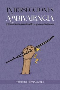 bokomslag Intersecciones de la ambivalencia