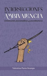 bokomslag Intersecciones de la ambivalencia