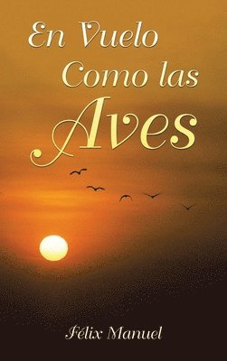 bokomslag Vuelo Como las Aves
