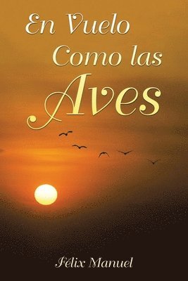 Vuelo Como las Aves