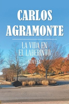 Carlos Agramonte - Vida En El Laberinto, Häftad