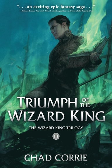 bokomslag Triumph of the Wizard King: The Wizard King Trilogy Book Three