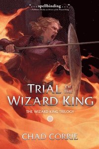 bokomslag Trial of the Wizard King: The Wizard King Trilogy Book Two