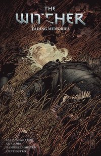 bokomslag The Witcher Volume 5: Fading Memories