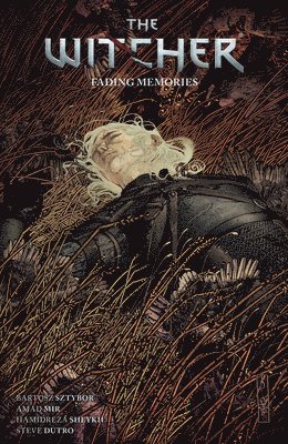 bokomslag The Witcher Volume 5: Fading Memories