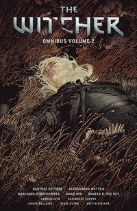 bokomslag The Witcher Omnibus Volume 2
