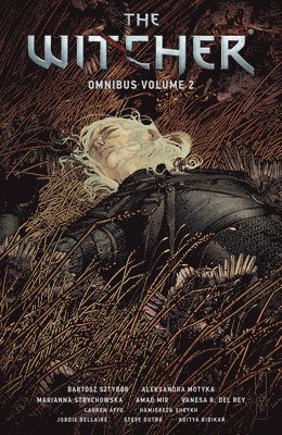 The Witcher Omnibus Volume 2 1