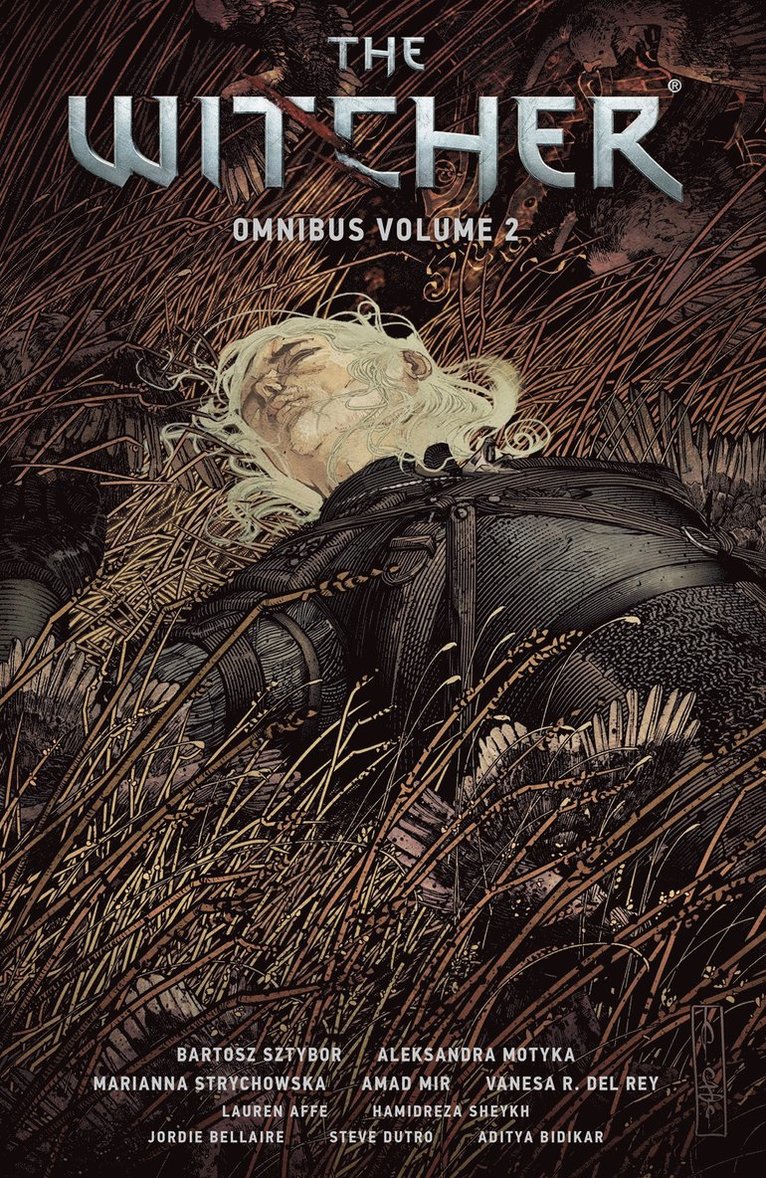Bartosz Sztybor, Aleksandra Motyka, Marianna Strychowska - Witcher Omnibus Volume 2, Häftad