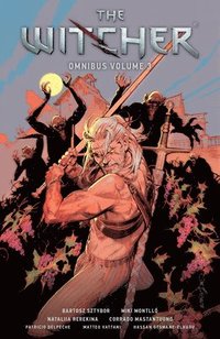 bokomslag The Witcher Omnibus Volume 3