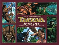 bokomslag Tarzan of the Apes