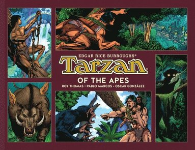 bokomslag Tarzan of the Apes