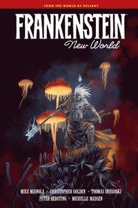 bokomslag Frankenstein: New World