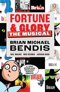 bokomslag Fortune and Glory: The Musical