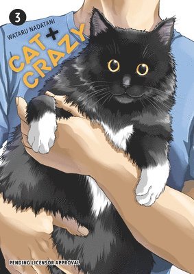 bokomslag Cat + Crazy Volume 3