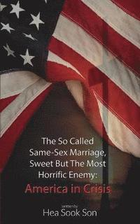 bokomslag The So Called Same-Sex Marriage, Sweet But The Most Horrific Enemy