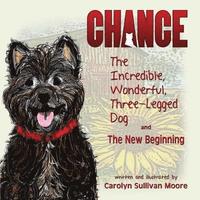bokomslag Chance, the Incredible, Wonderful, Three-Legged Dog and the New Beginning