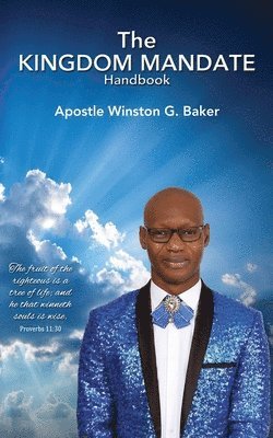 bokomslag Kingdom Mandate Handbook