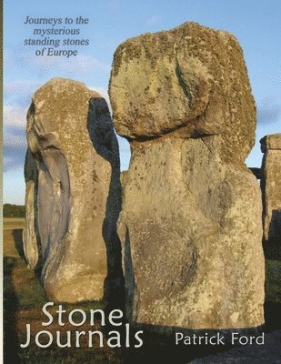 bokomslag Stone Journals