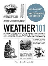 bokomslag Weather 101