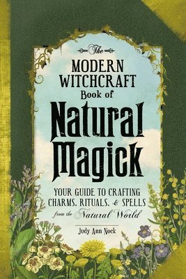 bokomslag The Modern Witchcraft Book of Natural Magick