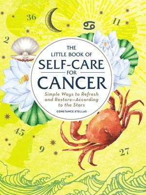 bokomslag The Little Book of Self-Care for Cancer