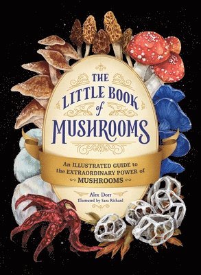 Alex Dorr - Little Book of Mushrooms, Inbunden