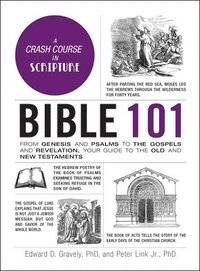 bokomslag Bible 101