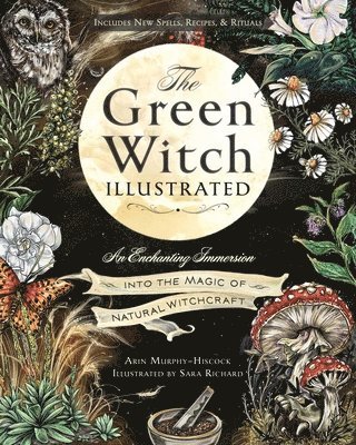 Green Witch Illustrated