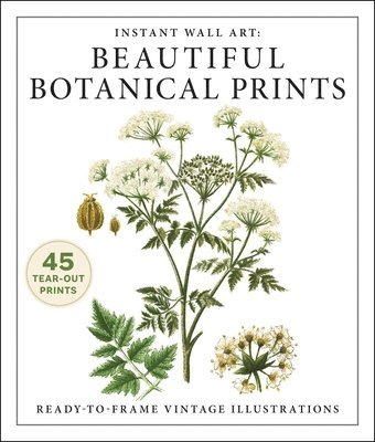 Adams Media - Instant Wall Art: Beautiful Botanical Prints, Häftad