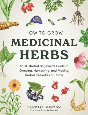 bokomslag How to Grow Medicinal Herbs