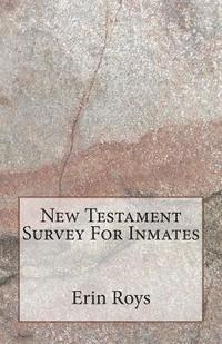 bokomslag New Testament Survey For Inmates