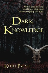 bokomslag Dark Knowledge