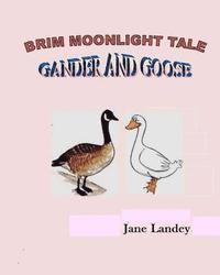 bokomslag Gander and Goose: Brim Moonlight Tale