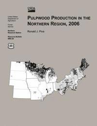 bokomslag Pulpwood Production in The Northern Region,2006