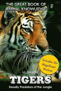 bokomslag Tigers