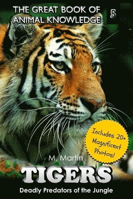 bokomslag Tigers