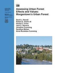 bokomslag Assessing Urban Forest Effects and Values: Morgantown's Urban Forests