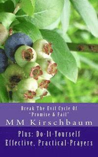 Break The Evil Cycle Of 'Promise & Fail': Plus: Do-It-Yourself Effective, Practical-Prayers 1