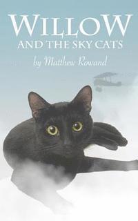 Matthew Rowand - Willow and the Sky Cats, Häftad