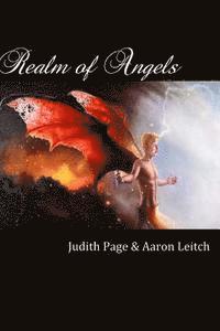 bokomslag Realm of Angels