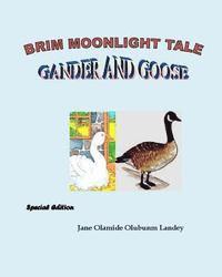 bokomslag Gander and Goose: Brim Moonlight Tale