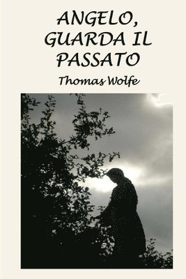 bokomslag Angelo, guarda il passato: La storia di una vita sepolta