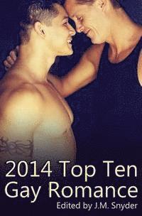 bokomslag 2014 Top Ten Gay Romance