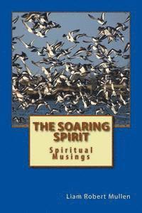 The Soaring Spirit 1