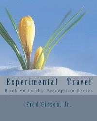 bokomslag Experimental Travel
