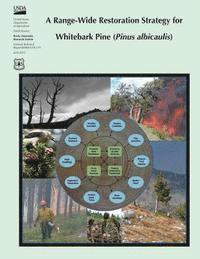 bokomslag A Range-Wide Restoration Strategy for Whitebark Pine (Pinus albicaulis)